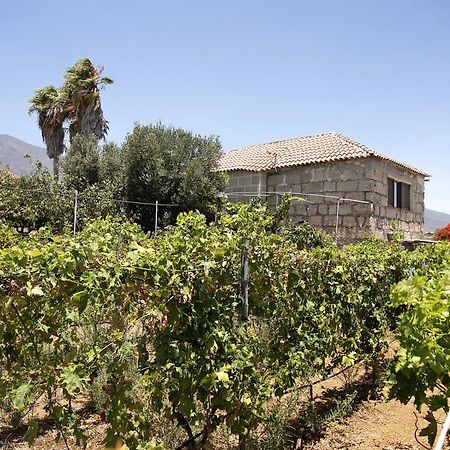 Las Tres Palmeras Güimar Εξωτερικό φωτογραφία