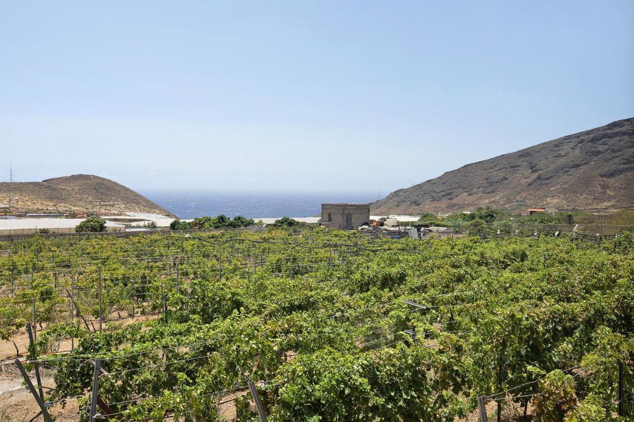 Las Tres Palmeras Güimar Εξωτερικό φωτογραφία