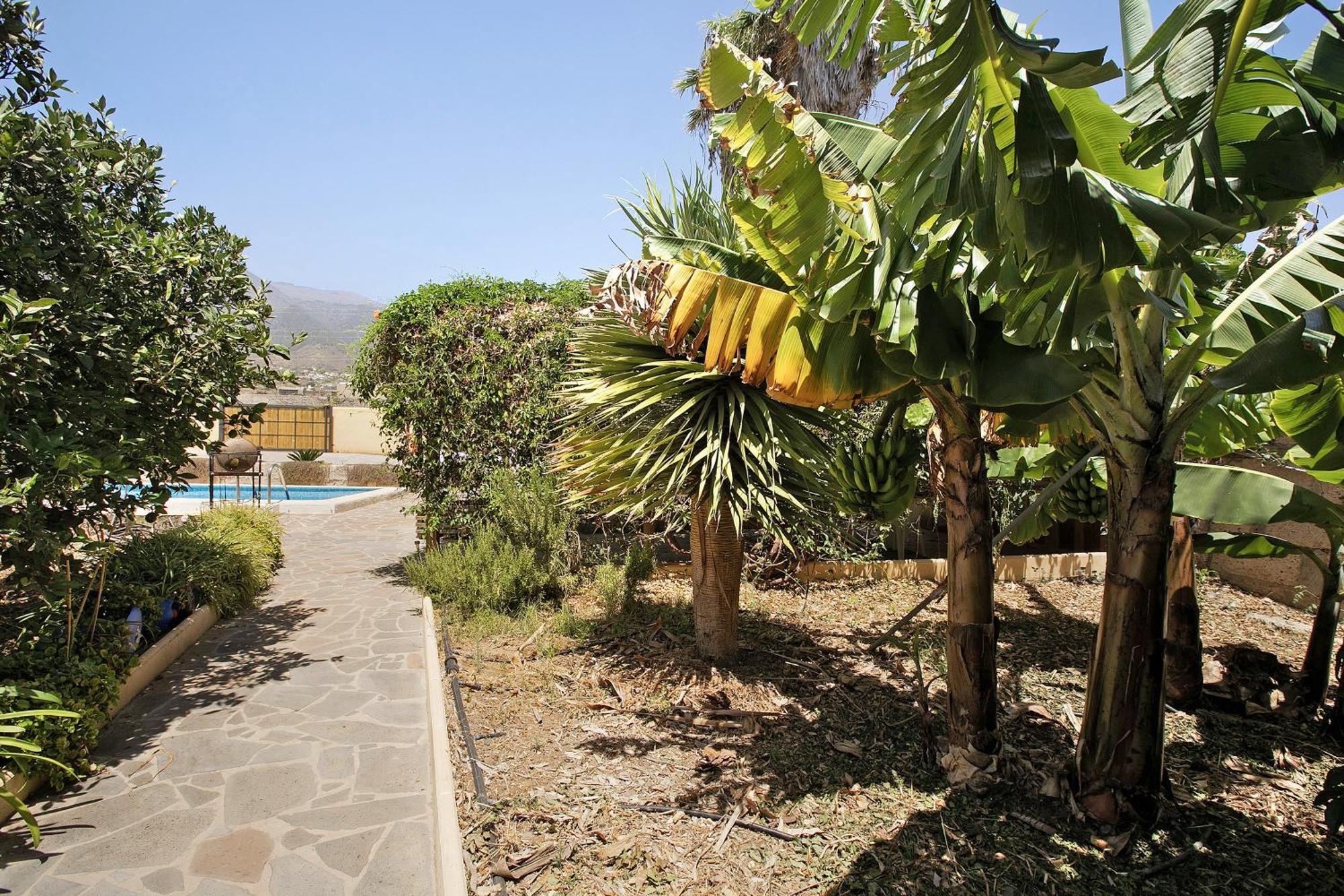Las Tres Palmeras Güimar Εξωτερικό φωτογραφία
